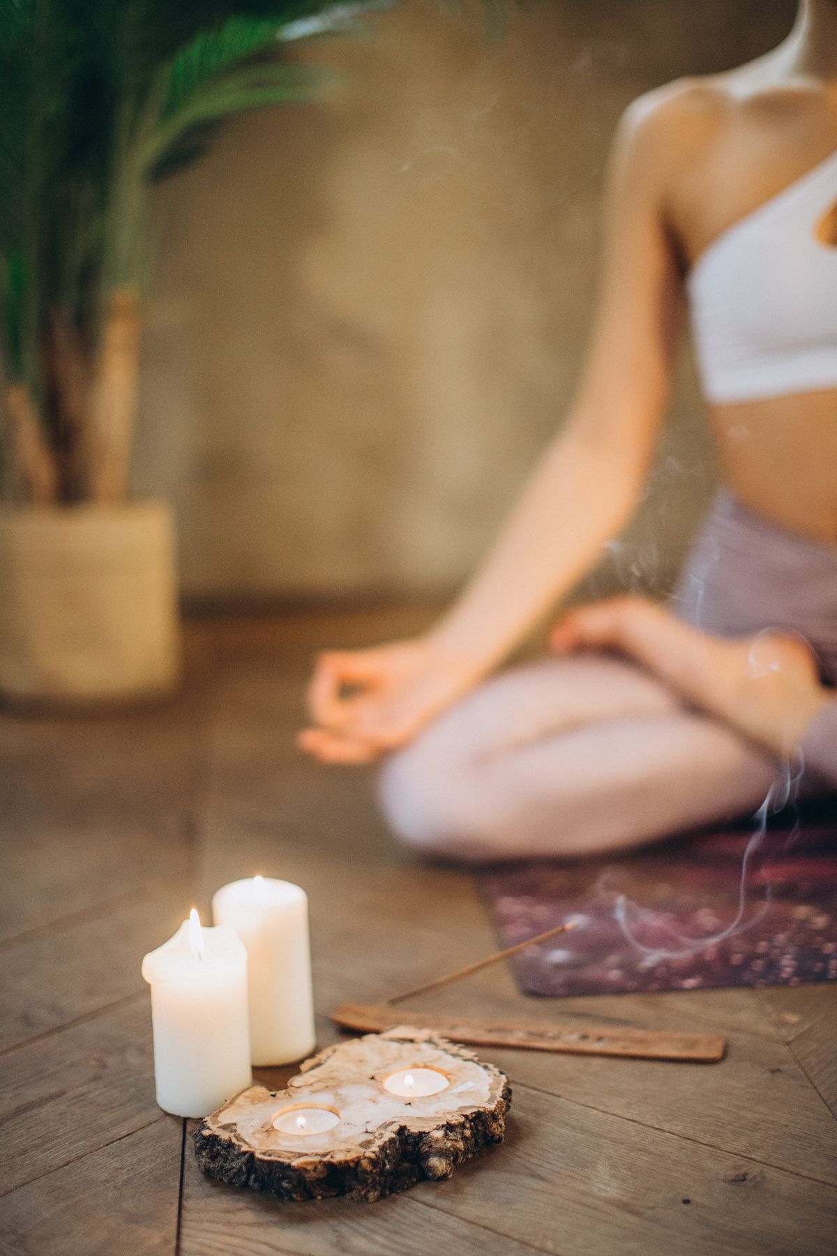 Health and Wellness Brand SEO: 2.41M Impressions in 6 Months case study